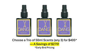 Three 50ml perfume