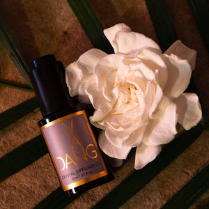 The Crystal Diffuser Oil - Savannah